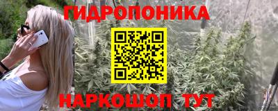 apvp Тара