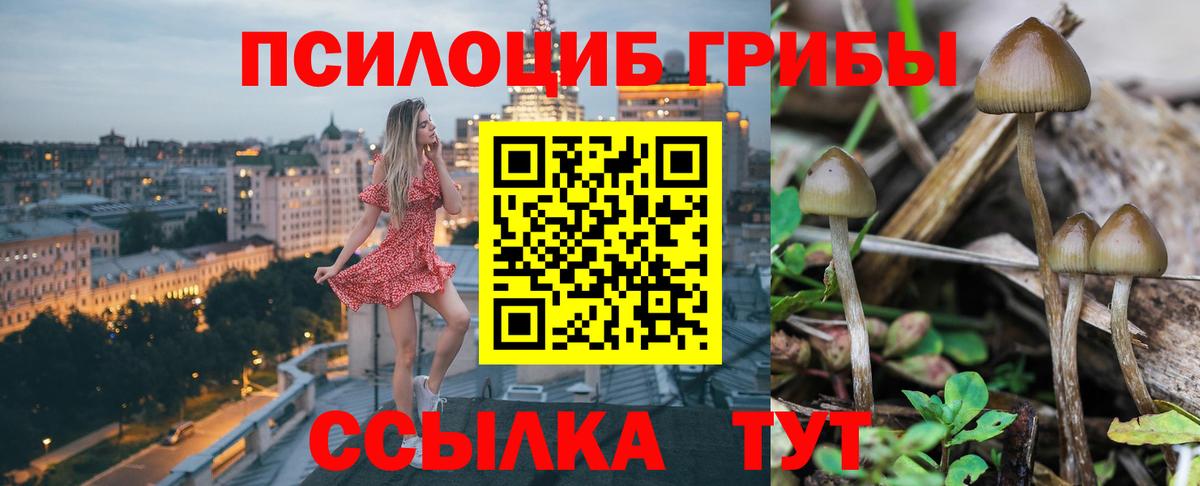 Галлюциногенные грибы Magic Shrooms  наркошоп  Нерюнгри  Вход с VPN 
